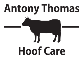 Ant Thomas Hoof Care